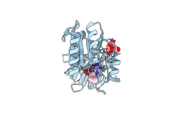 6RBS image
