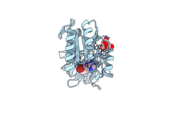 6RBT image
