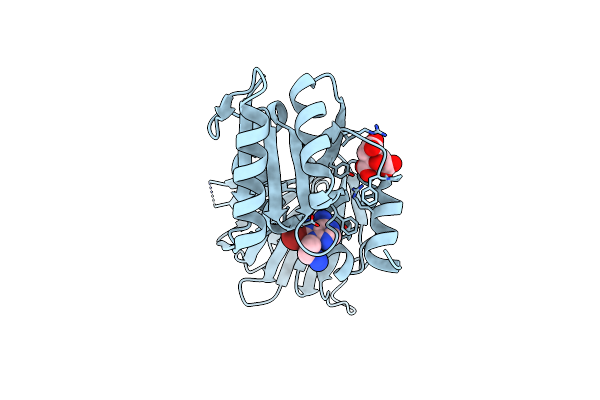6RBU image