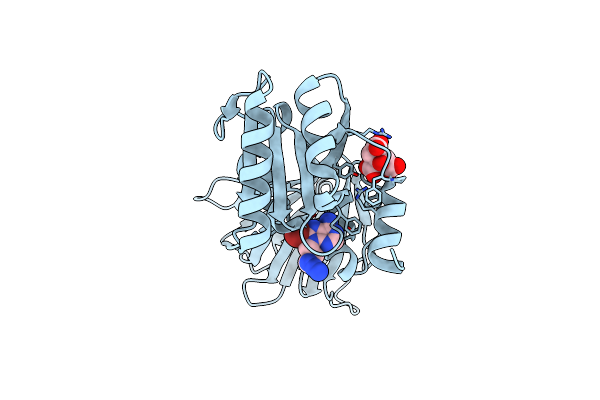 6RBV image