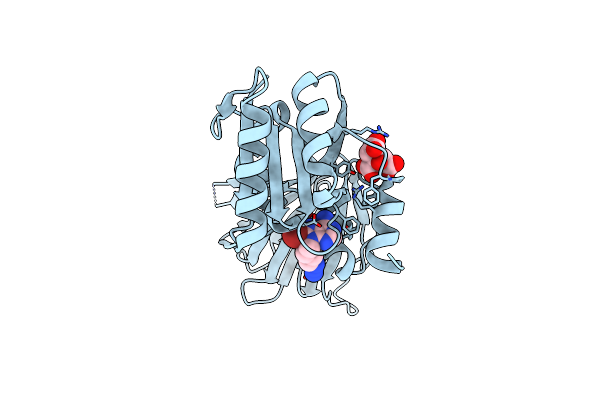 6RBW image