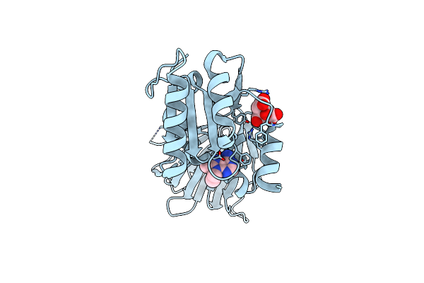 6RC1 image