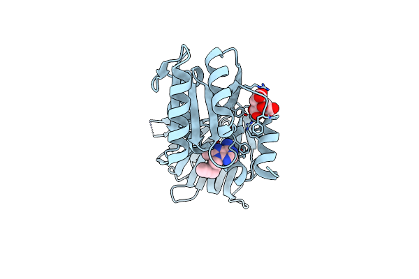 6RC2 image