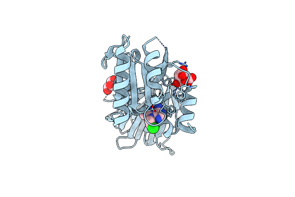 6RC3 image