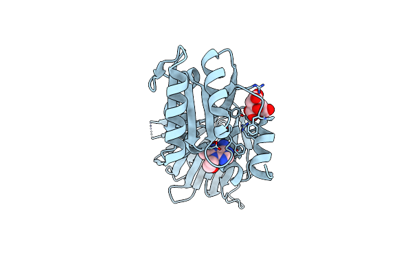 6RC4 image