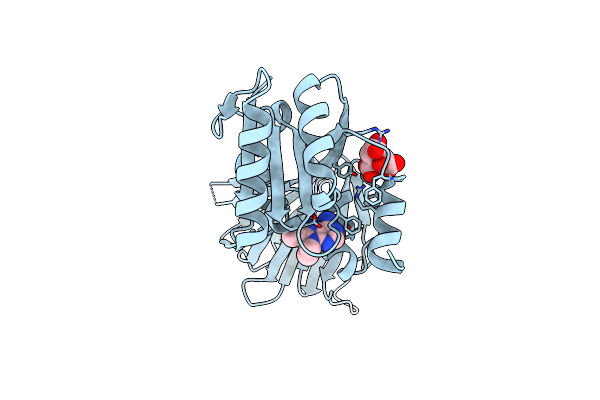 6RC5 image