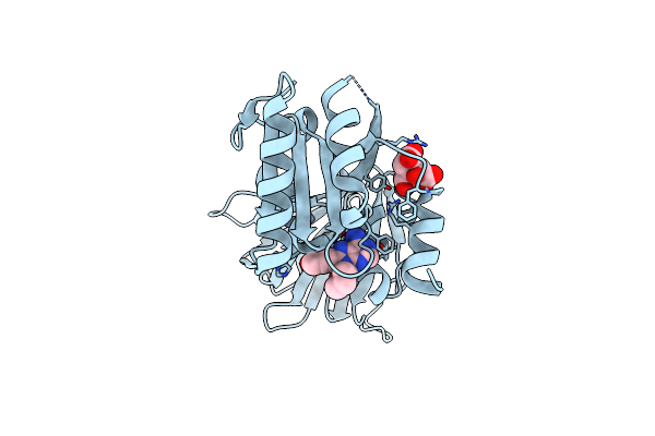 6RC6 image