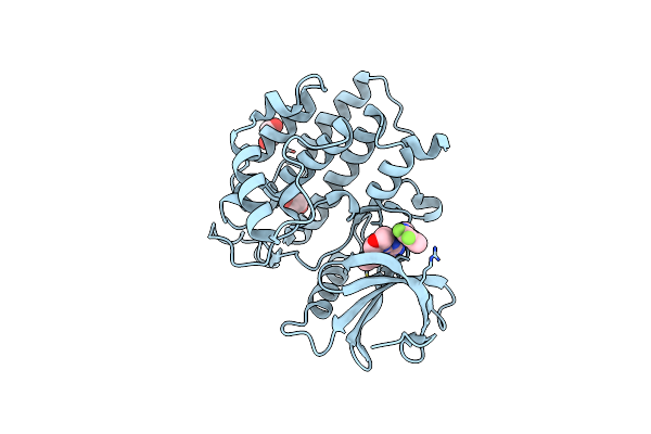 6RCG image