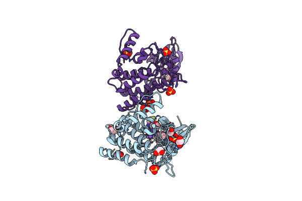 6RCH image