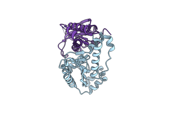 6RCI image