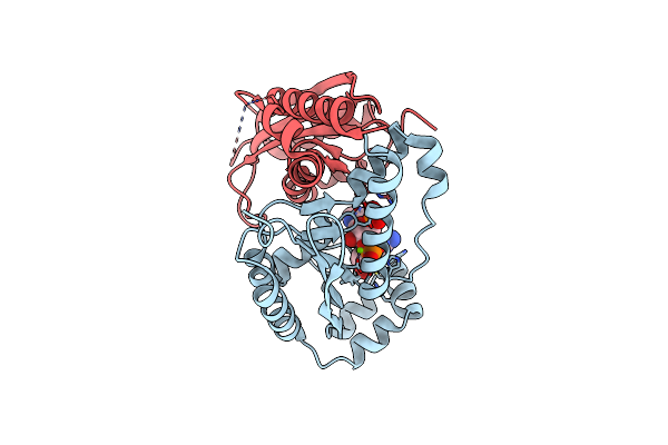 6RCL image