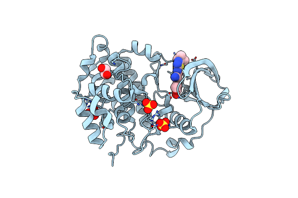 6RCM image