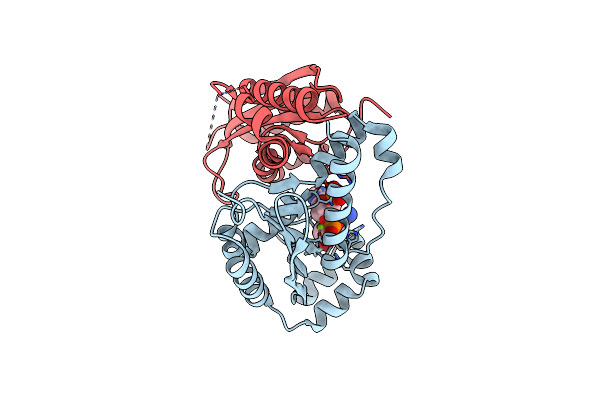 6RCN image