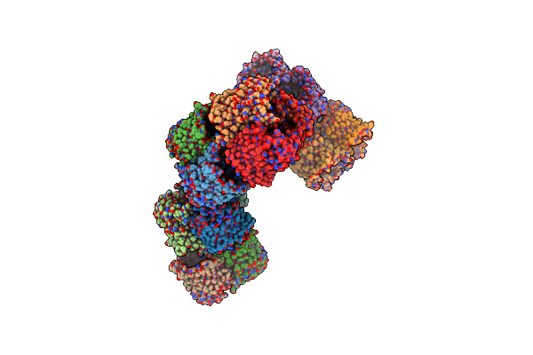 6RCP image