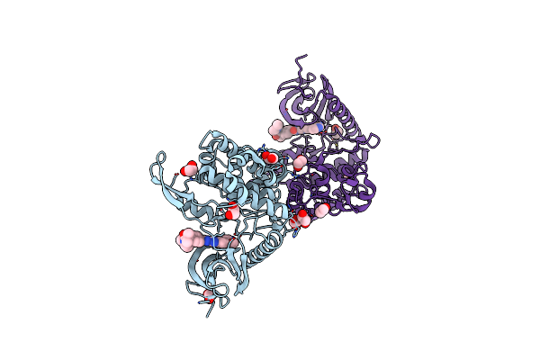 6RCT image
