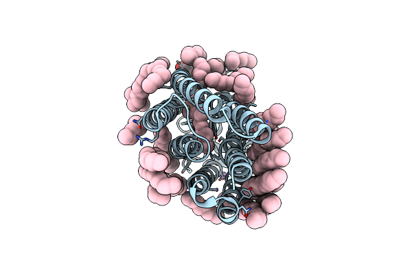 6RFA image