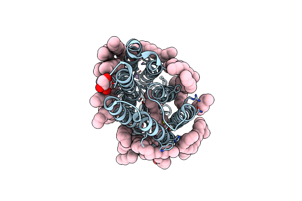 6RFC image