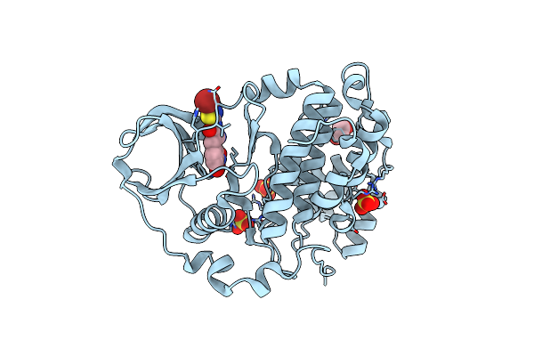 6RFF image