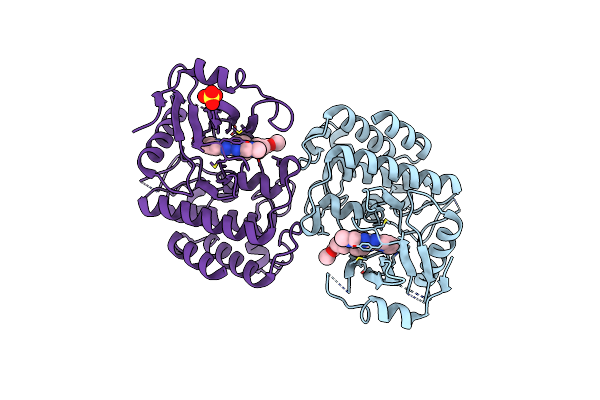 6RFJ image
