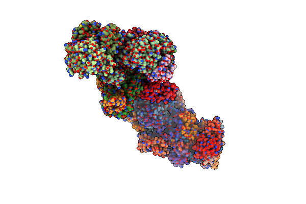 6RFS image