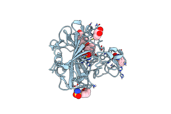 6RG5 image