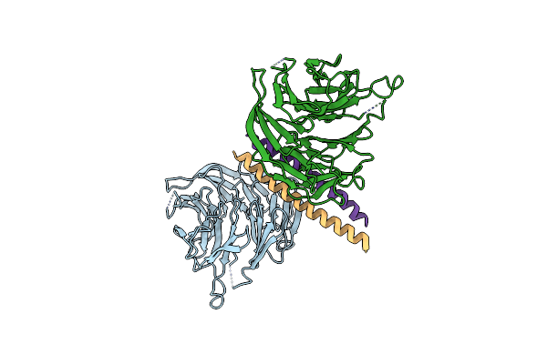 6RGO image