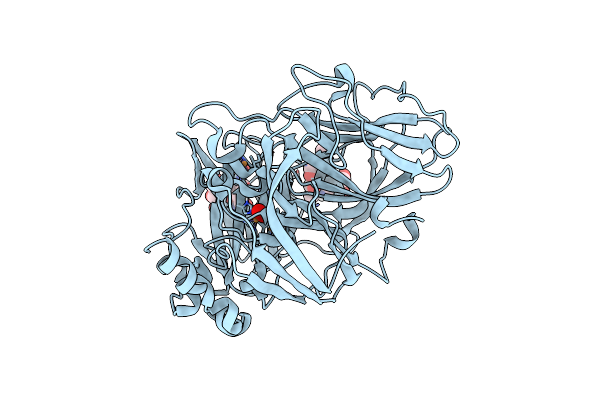 6RGP image