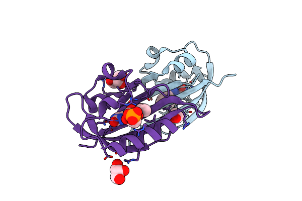 6RHF image