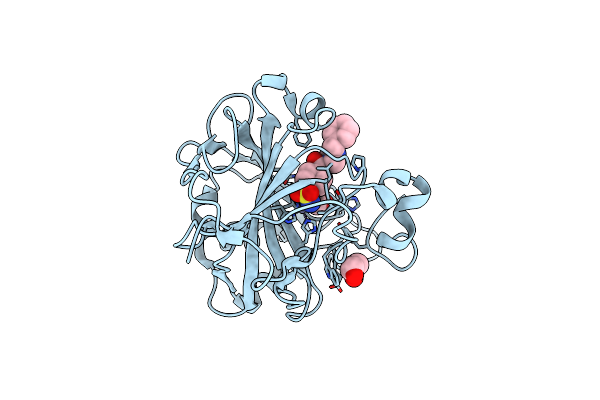 6RHK image