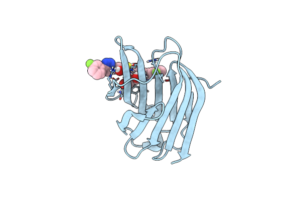 6RHL image