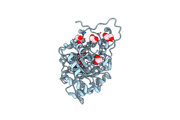 6RHT image