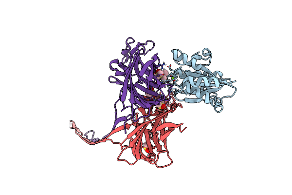 6RHV image