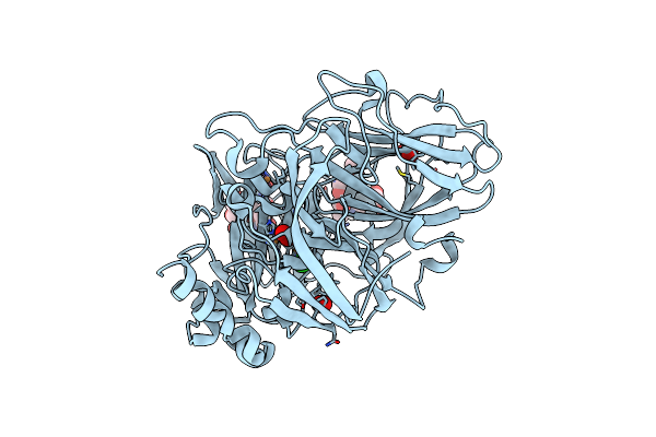 6RHX image