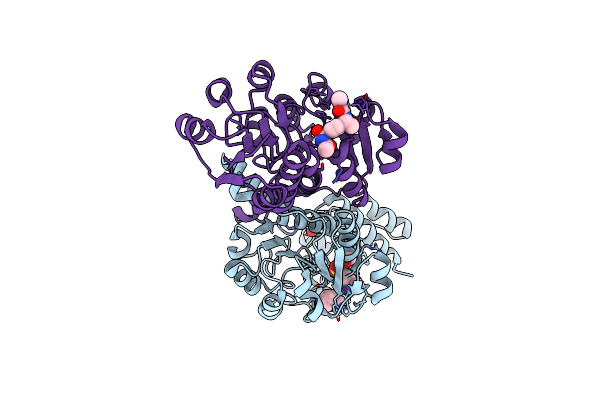 6RJ2 image