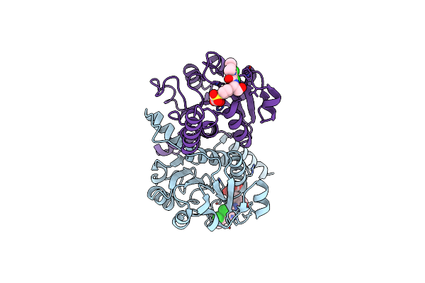 6RJ6 image