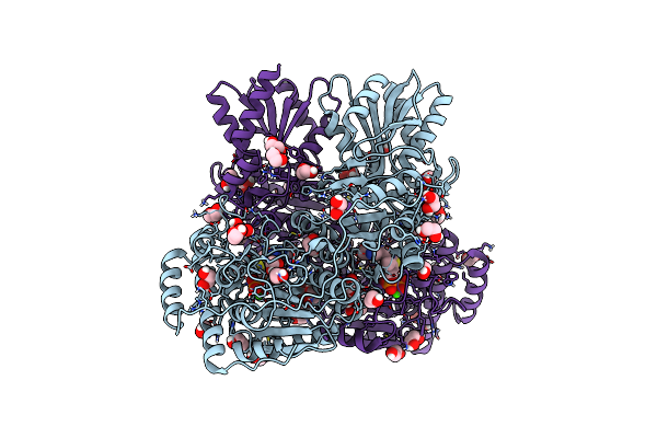 6RJB image