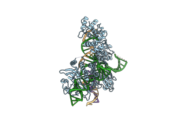 6RJD image