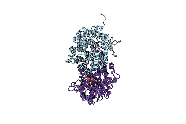 6RK2 image