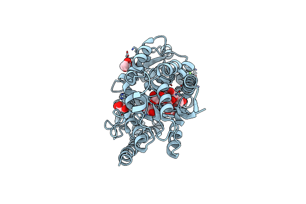 6RKJ image