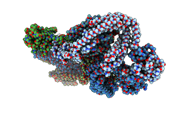 6RLB image