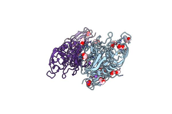 6RLG image