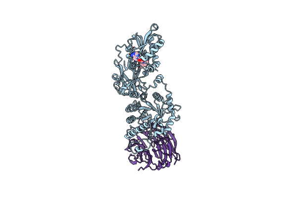 6RLL image