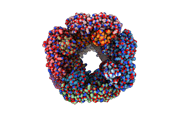 6RLM image