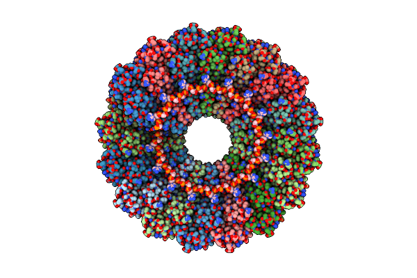 6RLP image