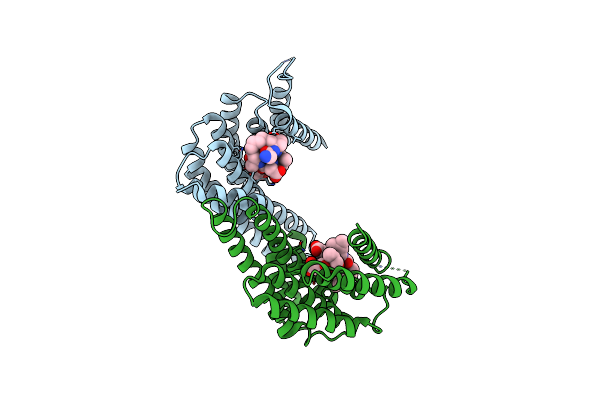 6RLZ image