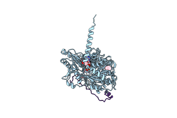 6RMA image
