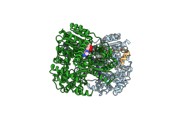 6RMC image