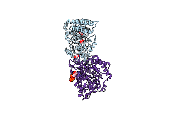 6RMD image
