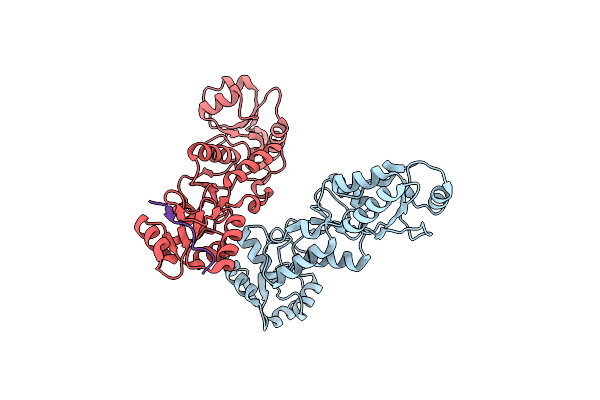 6RML image