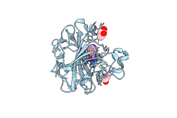 6RMP image